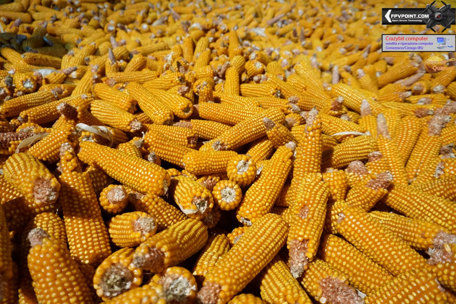 9ª edizione, galleria nr3